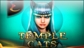 Temple Cats